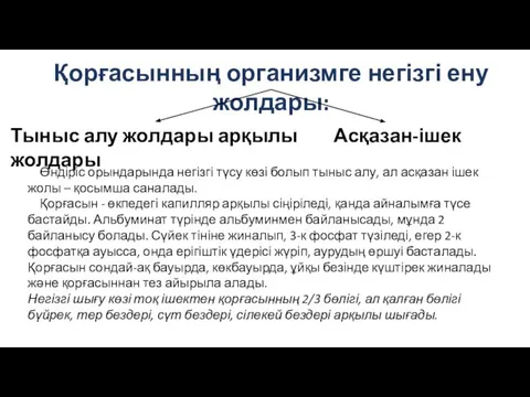 Қорғасынның организмге негізгі ену жолдары: Тыныс алу жолдары арқылы Асқазан-ішек жолдары