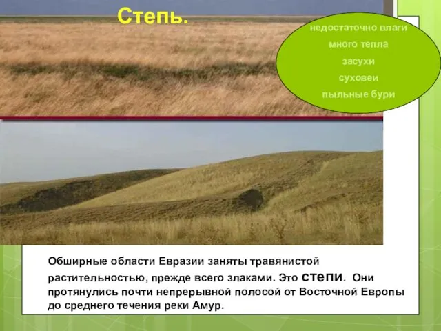 Обширные области Евразии заняты травянистой растительностью, прежде всего злаками. Это степи.