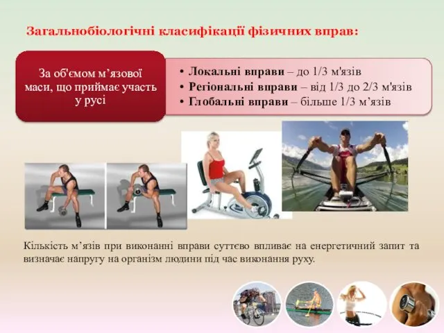 Загальнобіологічні класифікації фізичних вправ: Кількість м’язів при виконанні вправи суттєво впливає