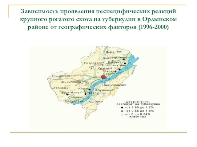 Зависимость проявления неспецифических реакций крупного рогатого скота на туберкулин в Ордынском районе от географических факторов (1996-2000)