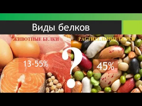 Виды белков 13-55% 45%