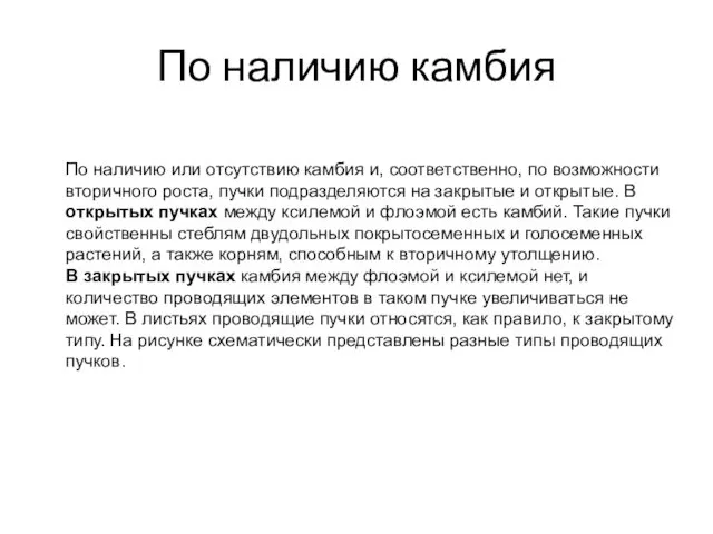 По наличию камбия По наличию или отсутствию камбия и, соответственно, по