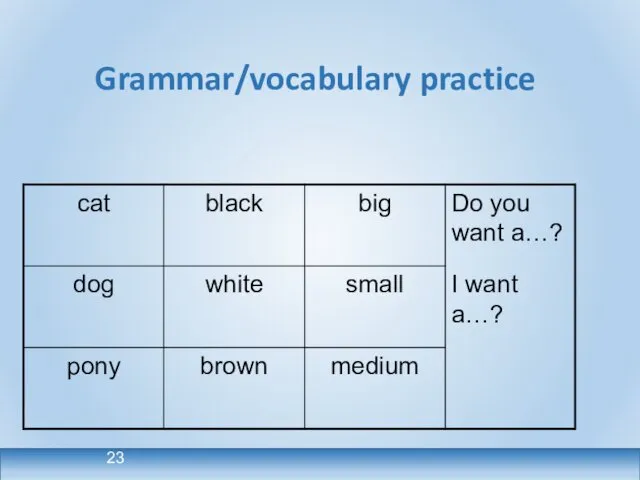 Grammar/vocabulary practice