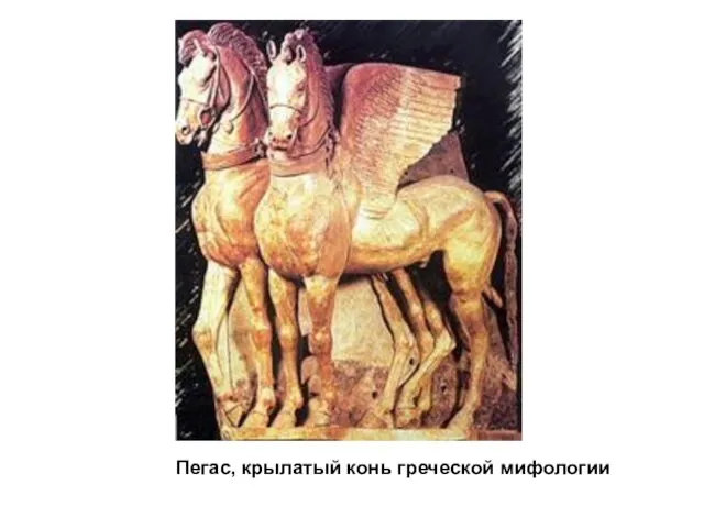 Пегас, крылатый конь греческой мифологии