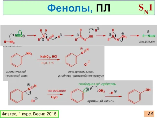 Физтех, 1 курс. Весна 2016 Фенолы, ПЛ SN1