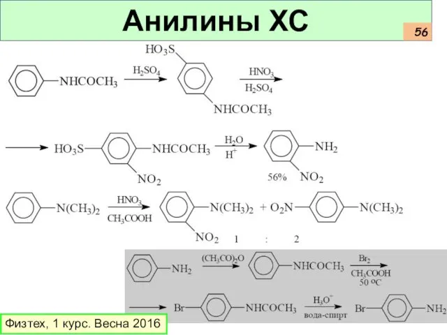 Анилины ХС Физтех, 1 курс. Весна 2016