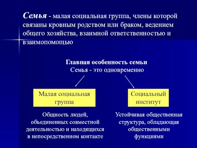 Главная особенность семьи Семья - это одновременно Малая социальная группа Социальный