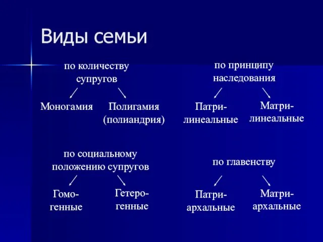 Виды семьи по количеству супругов по принципу наследования Моногамия Полигамия (полиандрия)