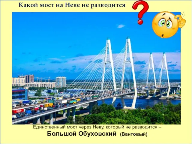 Какой мост на Неве не разводится Единственный мост через Неву, который