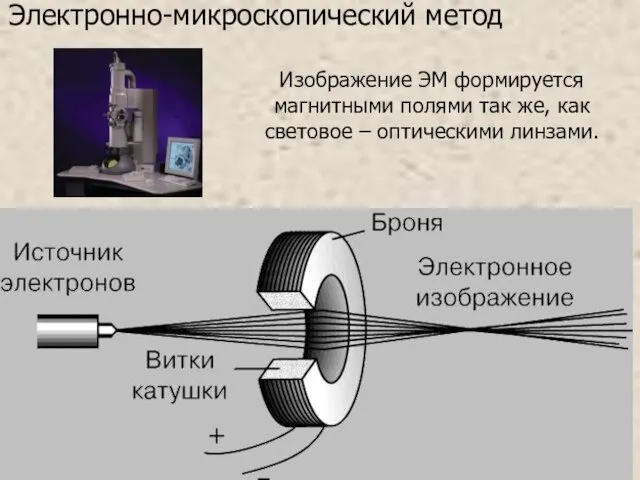 Электронно-микроскопический метод Изображение ЭМ формируется магнитными полями так же, как световое – оптическими линзами.