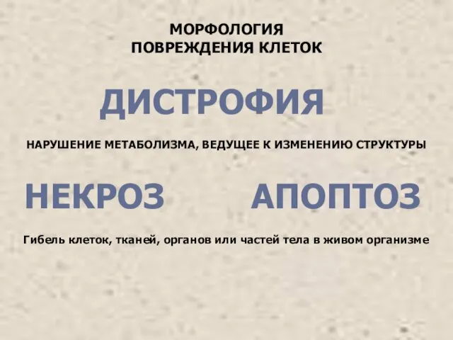 МОРФОЛОГИЯ ПОВРЕЖДЕНИЯ КЛЕТОК ДИСТРОФИЯ АПОПТОЗ НЕКРОЗ НАРУШЕНИЕ МЕТАБОЛИЗМА, ВЕДУЩЕЕ К ИЗМЕНЕНИЮ