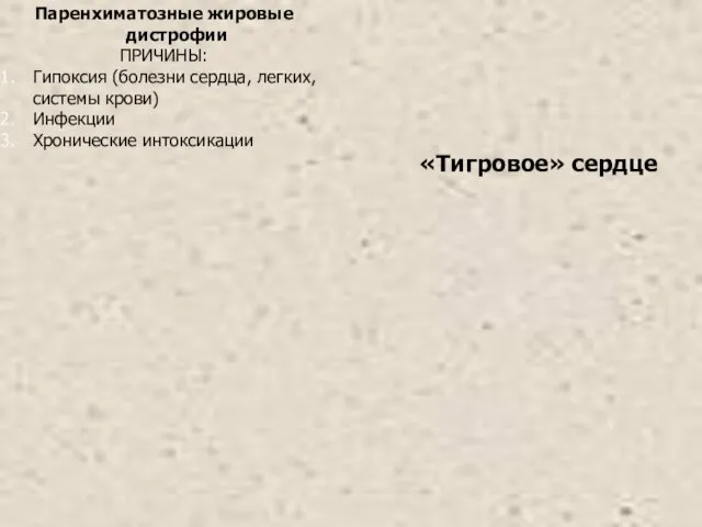 Паренхиматозные жировые дистрофии ПРИЧИНЫ: Гипоксия (болезни сердца, легких, системы крови) Инфекции Хронические интоксикации «Тигровое» сердце