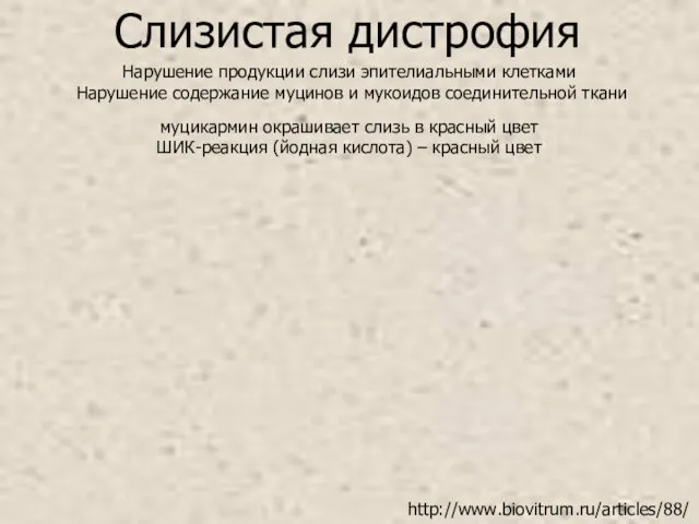 Нарушение продукции слизи эпителиальными клетками Нарушение содержание муцинов и мукоидов соединительной