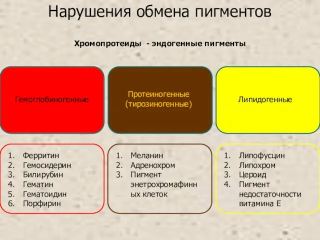 Нарушения обмена пигментов Хромопротеиды - эндогенные пигменты Гемоглобиногенные Протеиногенные (тирозиногенные) Липидогенные