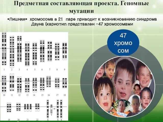 Предметная составляющая проекта. Геномные мутации 47 хромосом «Лишняя» хромосома в 21