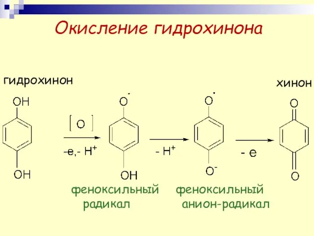Окисление гидрохинона гидрохинон феноксильный радикал феноксильный анион-радикал хинон