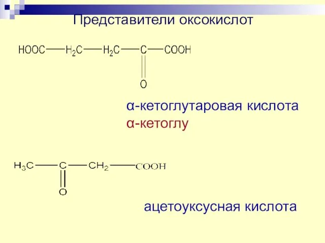 Представители оксокислот α-кетоглутаровая кислота α-кетоглу ацетоуксусная кислота