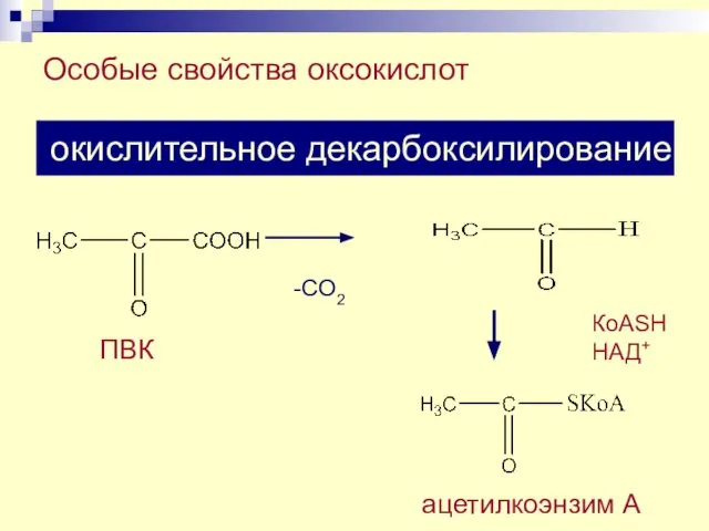 Особые свойства оксокислот -СО2 неокислительное декарбоксилирование окислительное декарбоксилирование ПВК ацетилкоэнзим А КоАSH НАД+