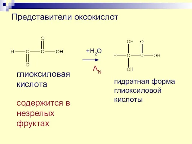 Представители оксокислот глиоксиловая кислота содержится в незрелых фруктах +H2O гидратная форма глиоксиловой кислоты AN