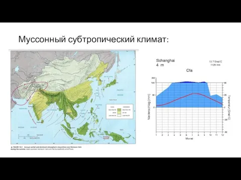 Муссонный субтропический климат: