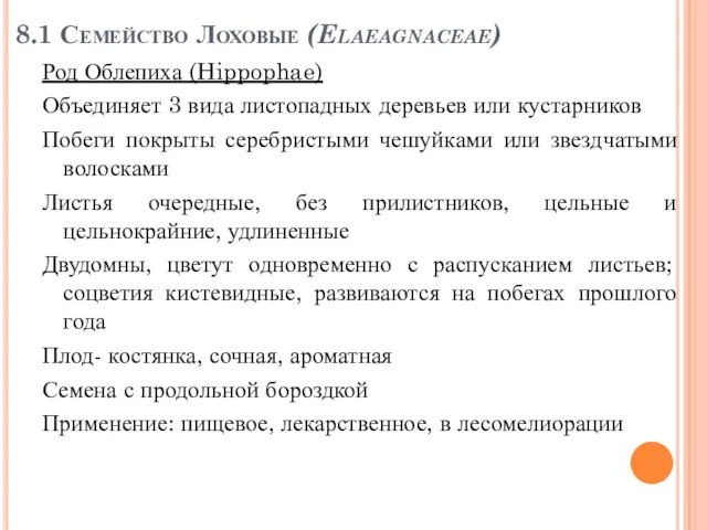 8.1 Семейство Лоховые (Elaeagnaceae) Род Облепиха (Hippophae) Объединяет 3 вида листопадных