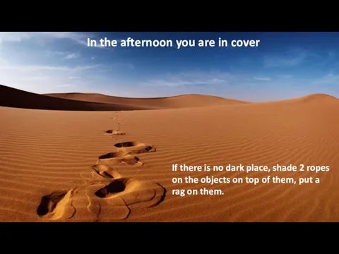 In the afternoon you are in cover. If there is no