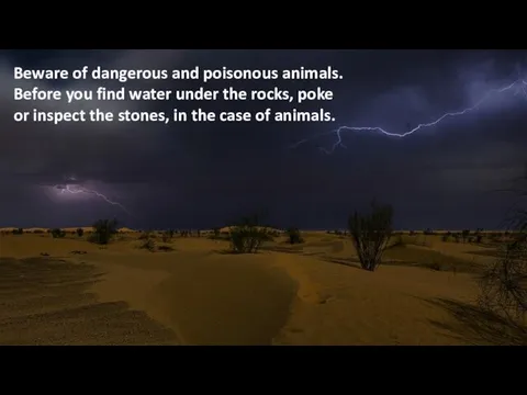 Beware of dangerous and poisonous animals. Before you find water under