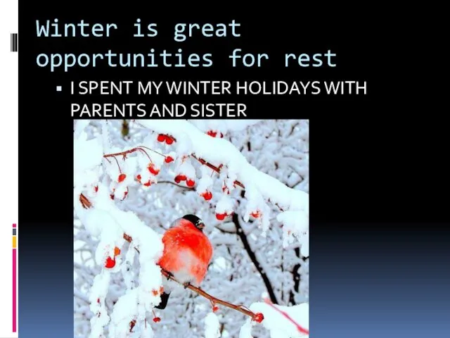 Winter is great opportunities for rest I SPENT MY WINTER HOLIDAYS WITH PARENTS AND SISTER