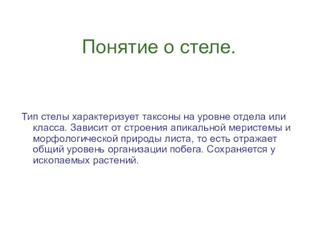 Понятие о стеле. Тип стелы характеризует таксоны на уровне отдела или