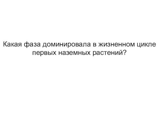 Какая фаза доминировала в жизненном цикле первых наземных растений?