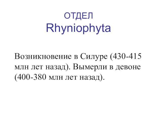 ОТДЕЛ Rhyniophyta Возникновение в Силуре (430-415 млн лет назад). Вымерли в девоне (400-380 млн лет назад).