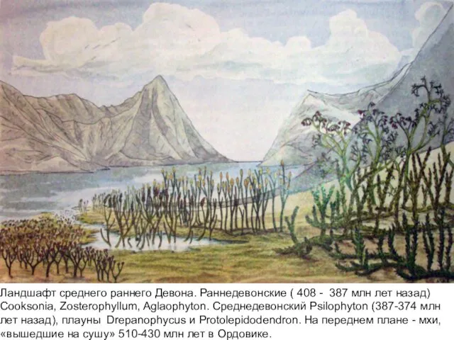 Ландшафт среднего раннего Девона. Раннедевонские ( 408 - 387 млн лет