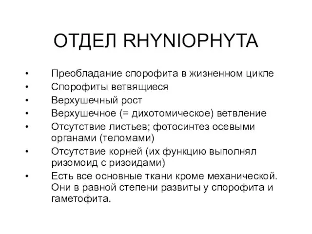 ОТДЕЛ RHYNIOPHYTA Преобладание спорофита в жизненном цикле Спорофиты ветвящиеся Верхушечный рост