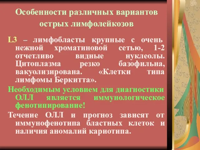 Особенности различных вариантов острых лимфолейкозов L3 – лимфобласты крупные с очень