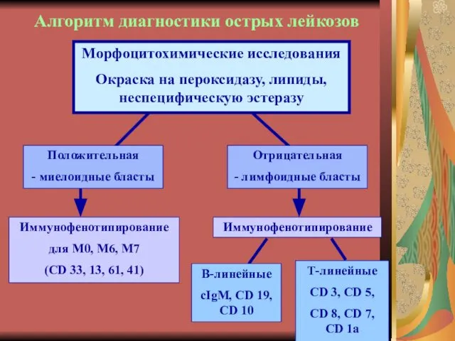 Алгоритм диагностики острых лейкозов Морфоцитохимические исследования Окраска на пероксидазу, липиды, неспецифическую