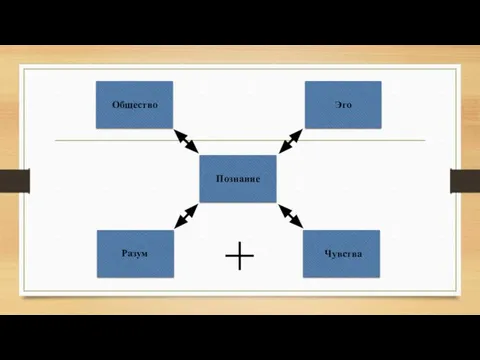 Познание Разум Чувства Общество Эго