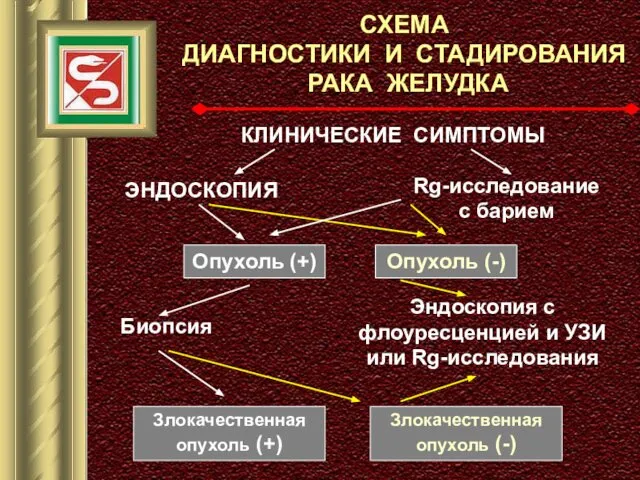 СХЕМА ДИАГНОСТИКИ И СТАДИРОВАНИЯ РАКА ЖЕЛУДКА КЛИНИЧЕСКИЕ СИМПТОМЫ ЭНДОСКОПИЯ Rg-исследование с