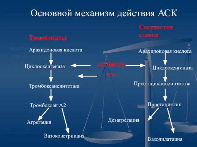 необратимое ингибирование ЦОГ -1 Основной механизм действия АСК Арахидоновая кислота Циклооксигеназа Простациклинсинтетаза