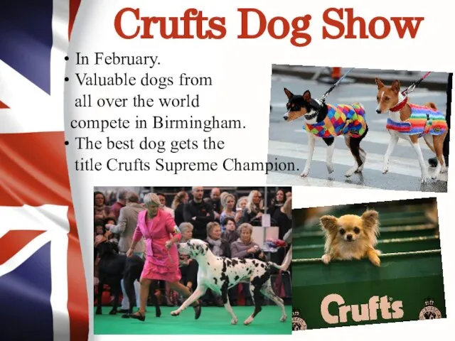 Crufts Dog Show In February. Valuable dogs from all over the