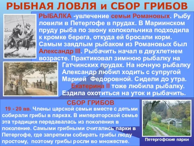 РЫБАЛКА -увлечение семьи Романовых. Рыбу ловили в Петергофе в прудах. В