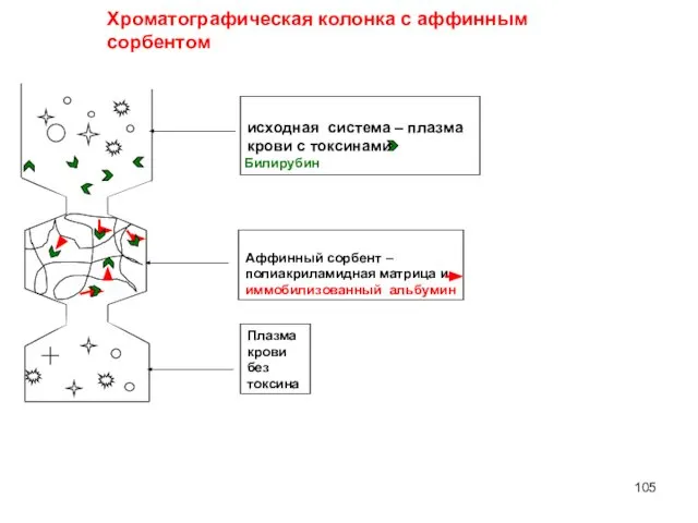 исходная система – плазма крови с токсинами Плазма крови без токсина