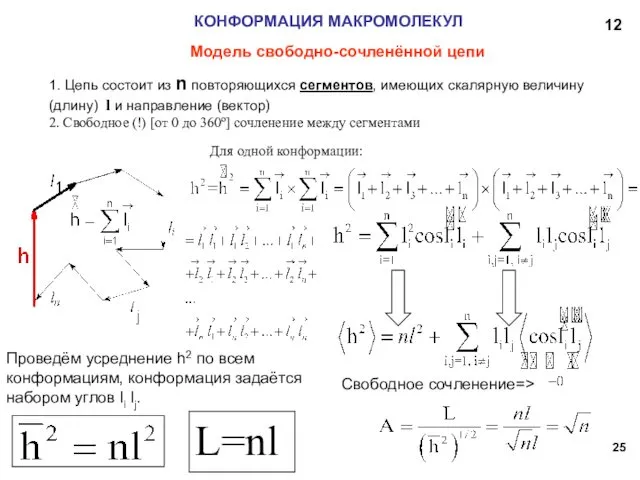 КОНФОРМАЦИЯ МАКРОМОЛЕКУЛ Модель свободно-сочленённой цепи 1. Цепь состоит из n повторяющихся