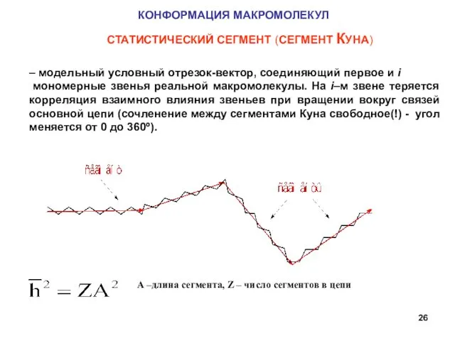 КОНФОРМАЦИЯ МАКРОМОЛЕКУЛ СТАТИСТИЧЕСКИЙ СЕГМЕНТ (СЕГМЕНТ КУНА) – модельный условный отрезок-вектор, соединяющий