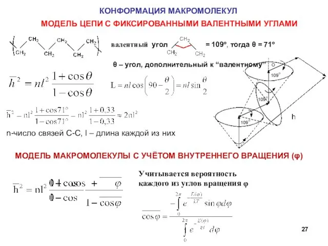 КОНФОРМАЦИЯ МАКРОМОЛЕКУЛ МОДЕЛЬ ЦЕПИ С ФИКСИРОВАННЫМИ ВАЛЕНТНЫМИ УГЛАМИ валентный угол =