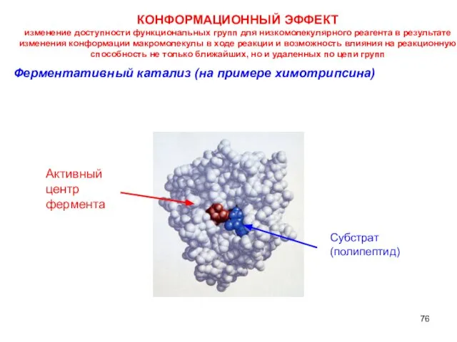 Субстрат (полипептид) Ферментативный катализ (на примере химотрипсина) Активный центр фермента КОНФОРМАЦИОННЫЙ