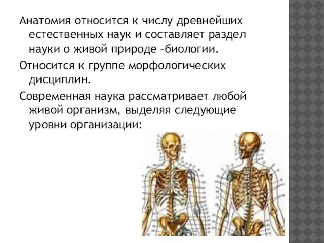 Анатомия относится к числу древнейших естественных наук и составляет раздел науки