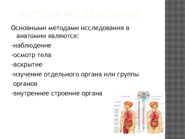 МЕТОДЫ ИССЛЕДОВАНИЯ Основными методами исследования в анатомии являются: -наблюдение -осмотр тела