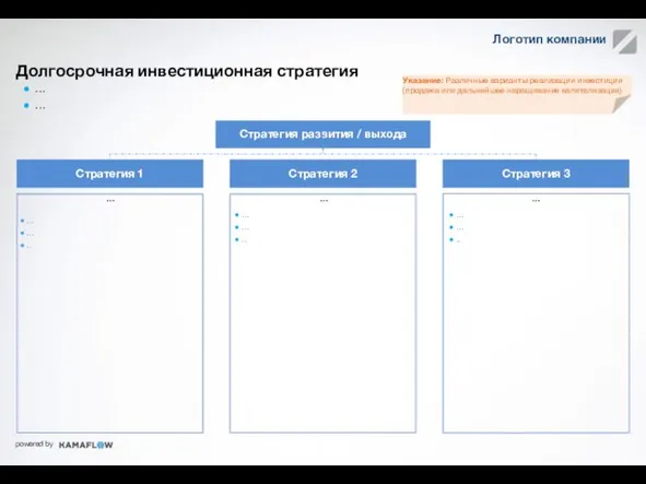 Долгосрочная инвестиционная стратегия Примеры КПЭ … … Стратегия развития / выхода
