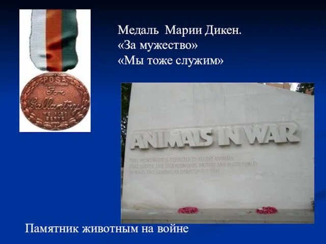 Медаль Марии Дикен. «За мужество» «Мы тоже служим» Памятник животным на войне