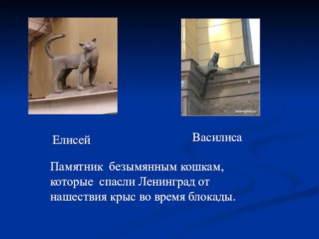 Елисей Василиса Памятник безымянным кошкам, которые спасли Ленинград от нашествия крыс во время блокады.
